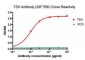 Anti-TSH Antibody (28F7B8)